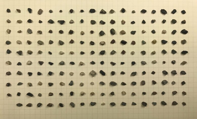 スニーカー裏に挟まった“小石”を収集!? 1年間の記録を並べてみると標本のよう…やり終えた感想を聞いた｜FNNプライムオンライン