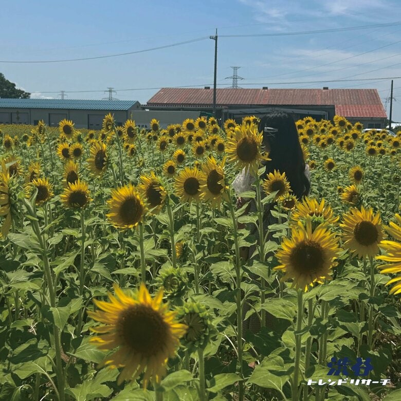 【2026年夏の特大号】全15項目！最新トレンドTOP10！