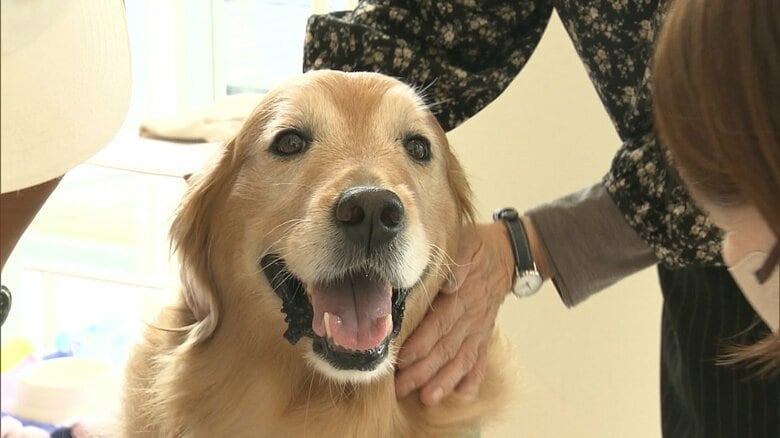 ニーズ高まるアニマルセラピー　治療として認めている国もある中で国内では解決すべき課題　支援乏しく事業が成り立たずボランティア頼みも限界｜FNNプライムオンライン