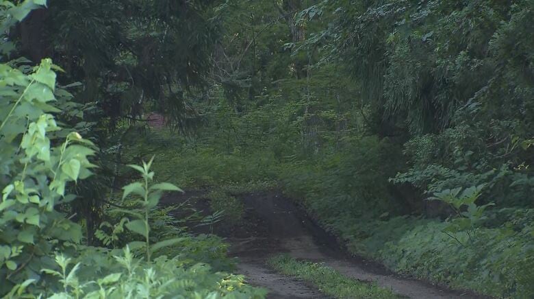 クマに襲われたか　顔や背中に大きな引っ掻き傷　50代くらいの男性が死亡　山林内で倒れている状態で発見｜FNNプライムオンライン