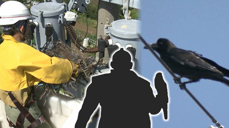 厄介者のカラスには徳川家康公の趣味で対抗？　繁殖期を迎え攻撃的に…電柱付近の巣には要注意【静岡発】｜FNNプライムオンライン