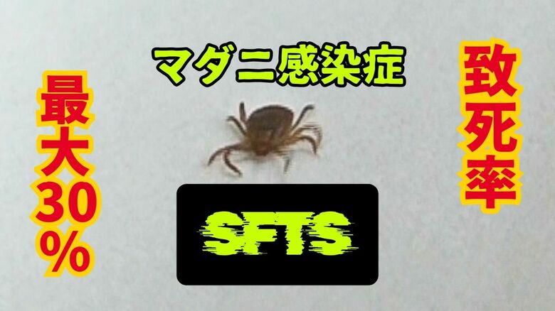 致死率は最大30％　ダニ媒介の感染症SFTSに農作業中の80代女性が感染し　福井県内で3年ぶりの確認｜FNNプライムオンライン