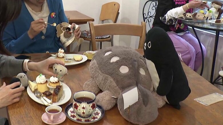 ぬいぐるみとカフェ、2キロの“リアルな抱き心地”のものも！盛況の「ぬい活」ブームを取材　あさってから日本最大級「推し活エキスポ」開催｜FNNプライムオンライン