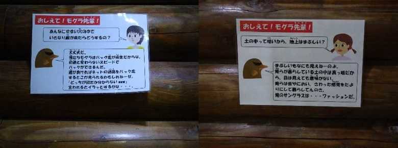 「モグラ先輩」が登場する掲示の一部。