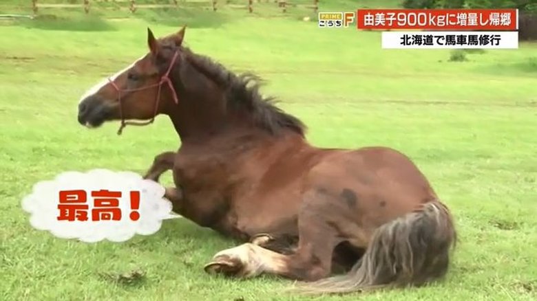 ふるさとではしゃぐ?「由美子」