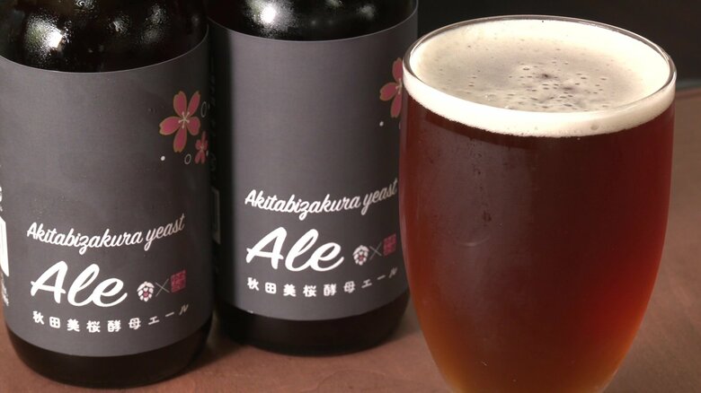 女性にもおすすめ「KINNOKURA Ale」