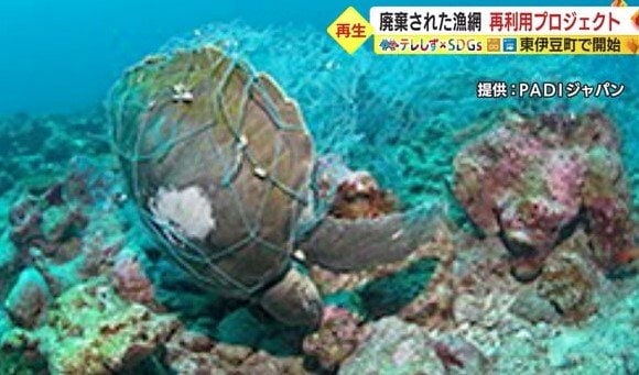 漁網が絡まったウミガメ