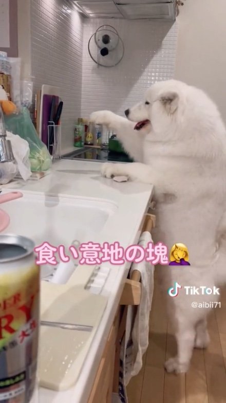 提供：ibukimama38さん