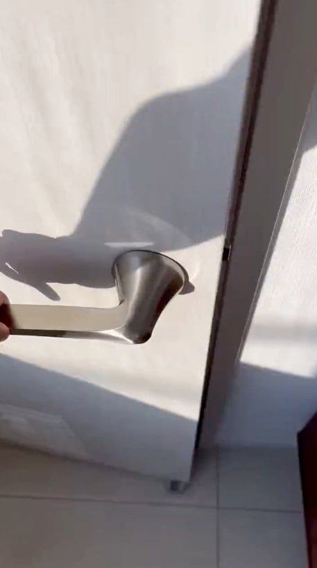 提供：卵山玉子先生