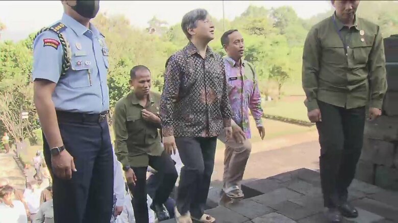 階段を上り、遺跡を見上げる陛下