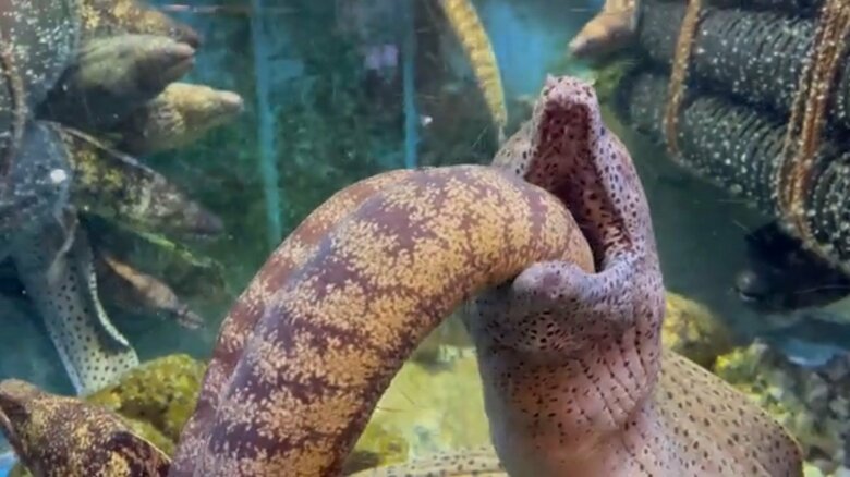 迷うことなくどんどん入っていく