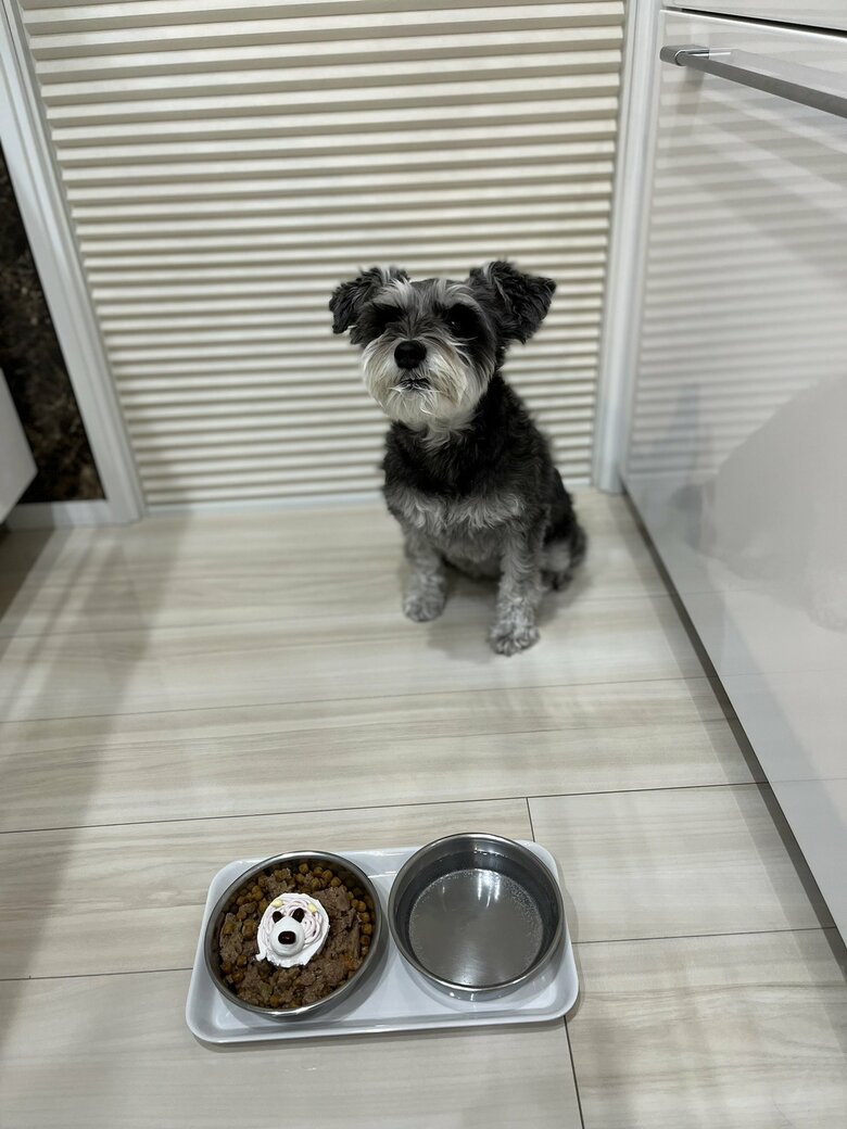 4歳の誕生日（提供：くぅさん）