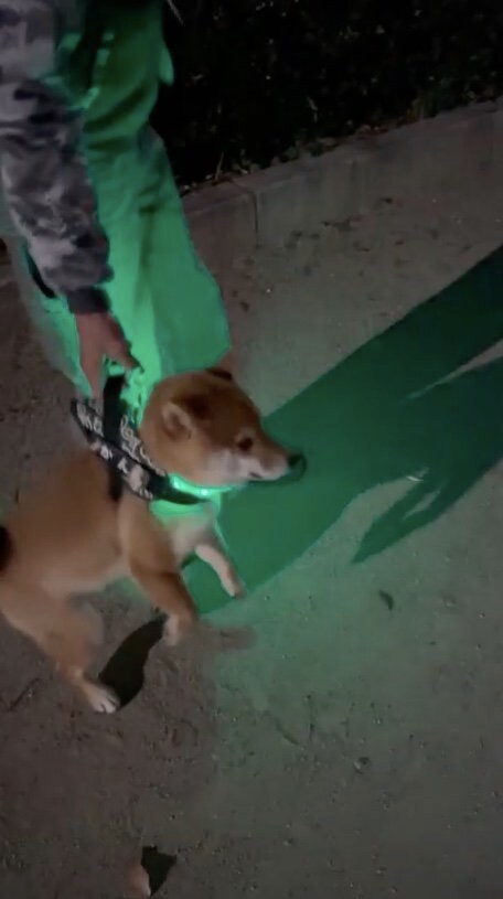 提供：カンさん