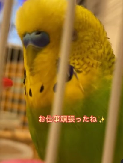 「お仕事頑張ったね！」