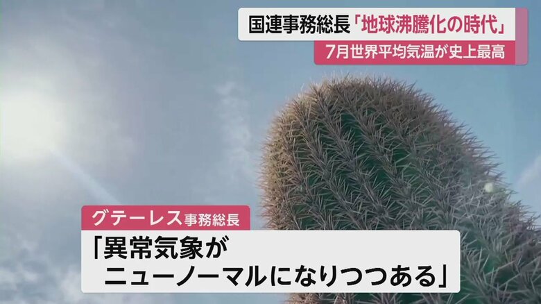 世界各地でも暑い日が続く
