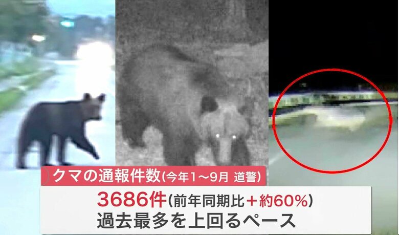 相次ぐクマの目撃通報