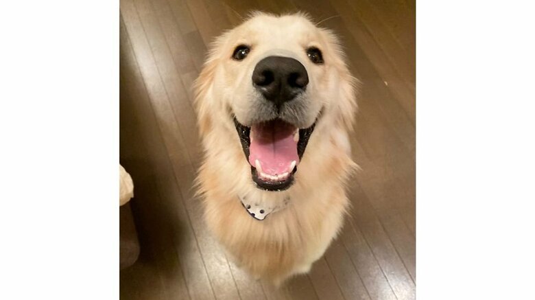 笑顔のウィルくん