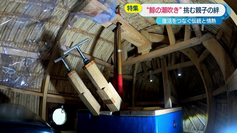 鯨の内部にカメラが潜入