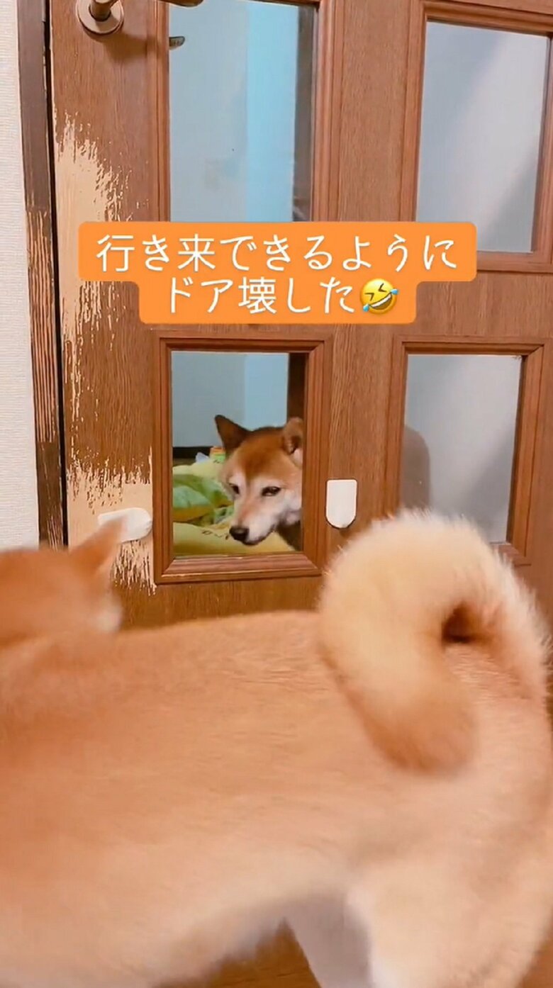 ムックくんが開けた小窓の前へ移動する