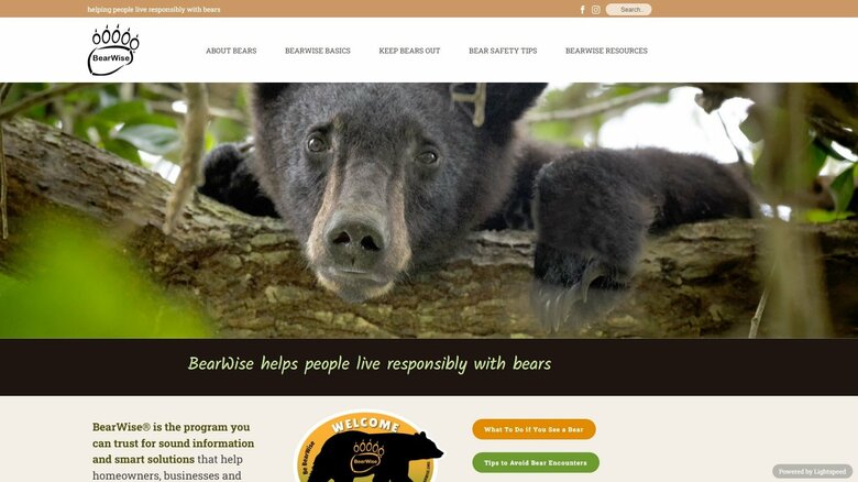 BearWiseのウェイブサイトより