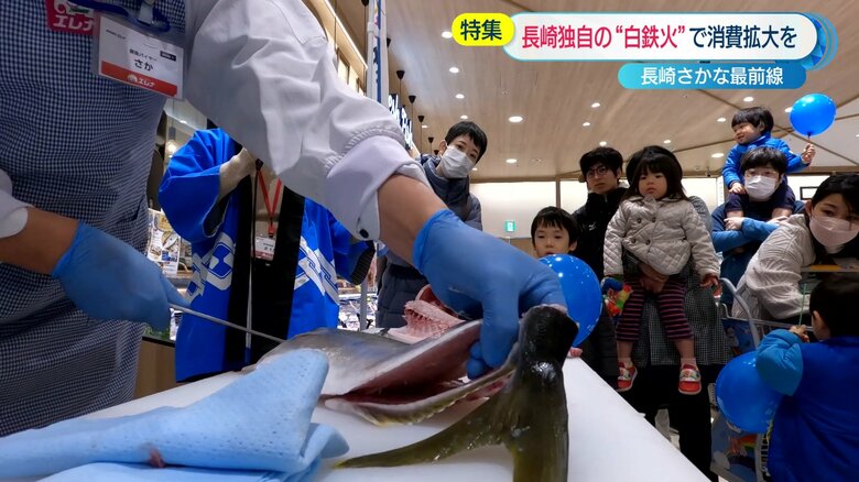 ヒラマサの解体ショー