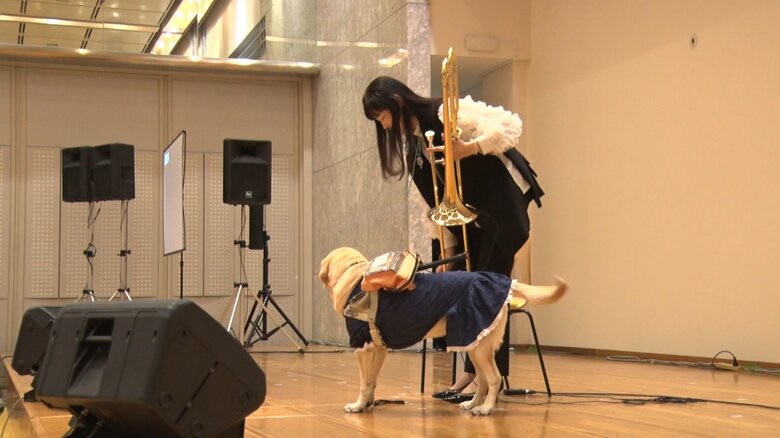 演奏が終わると、山岸さんを見てしっぽを振るアリエル