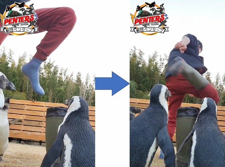 イマイケルさんは長靴を脱いで逃亡していた