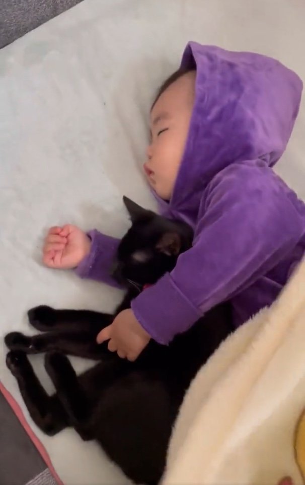 提供：ゴンゾウR4さん