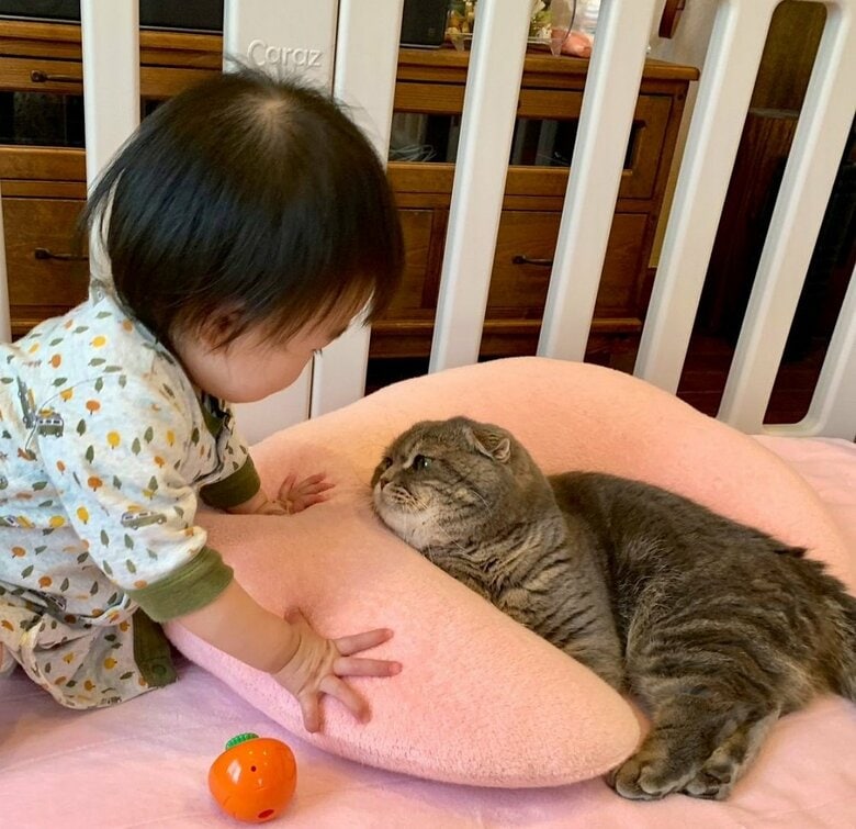 兄のように見守っていたたこやきくん