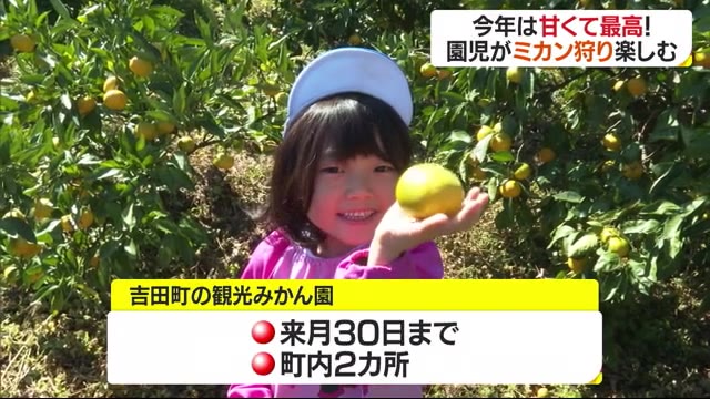 「おいしい!」オープン前の観光園地で園児ミカン狩り「甘くて最高の出来」【愛媛】