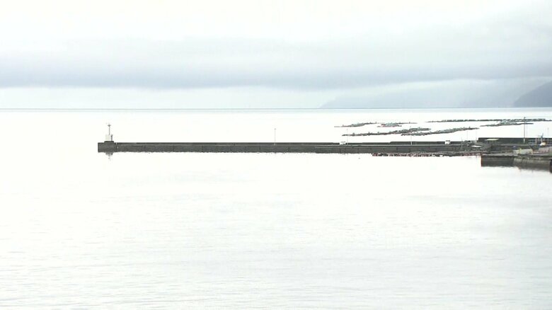 愛媛・八幡浜港（30日午前11時半ごろ）