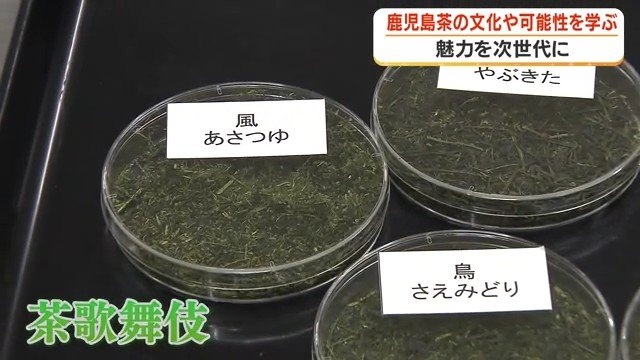 茶歌舞伎で使用された茶葉