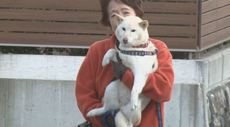 抱っこされて散布する「ひかり」