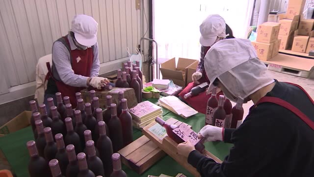 富山市のワイナリー ヌーヴォー瓶詰め 今年のワインは