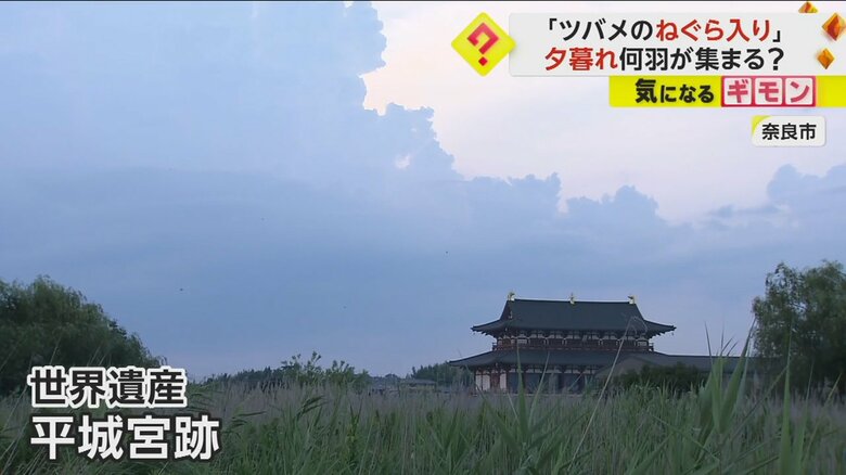 奈良県奈良市の世界遺産の平城宮跡