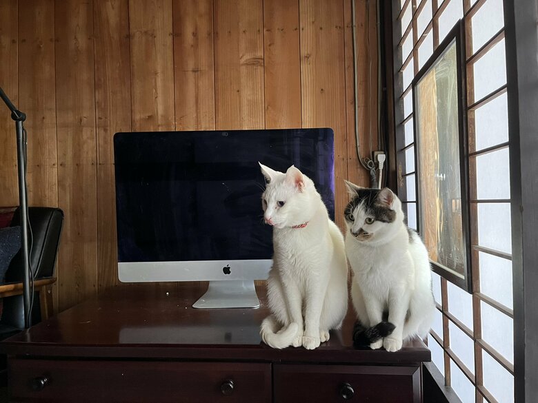 掃除を監視中　左：福夫くん　右：幸子ちゃん（提供：いのうえもんぺさん）