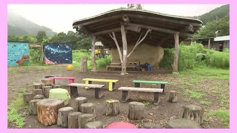 2017年8月撮影「こすもす公園」の一部