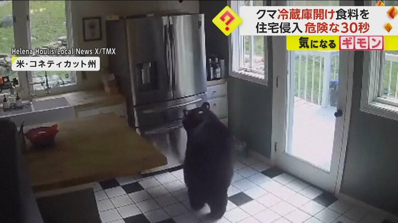 アメリカ・コネティカット州の住宅のキッチンに侵入し、冷蔵庫に近づくクマ