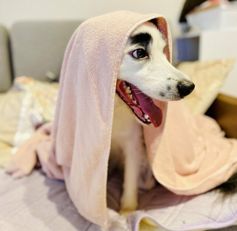 雷が苦手　タオルケットなどに包まってやむのを待つ