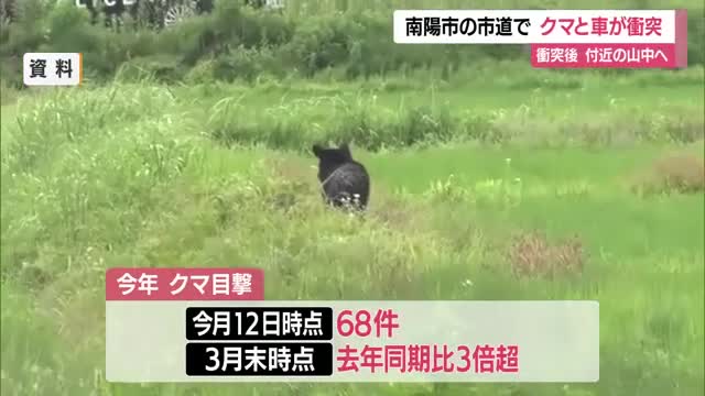 【クマ出没】走行中の車とクマ衝突・山へ逃げる　目撃件数2025年の3倍超（3月末時点）　山形・南陽市