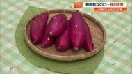【高知】早くもサツマイモの収穫　皮ごし食べる上品な甘みの《土佐紅》関東に出荷