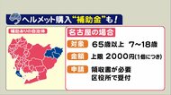 “大人もヘルメット着用”だけじゃない…自転車の損害賠償保険への加入「義務化」 10月1日から愛知県で