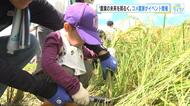 新米の価格下落　翻弄されるコメ農家の現状や食の魅力を伝えるイベント「日本のコメは世界一」広島・三原市