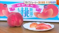 糖度13度以上！？甘くてジューシー“モモ”の出荷最盛期！楽しみ方は様々「凍らせてアイスティーに」新潟・加茂市