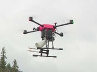 犬の鳴き声等をスピーカーから…ドローンを使ったクマ対策 岐阜県「一定の効果があった」1日あたりの目撃件数減る