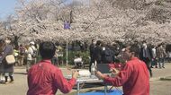 「10時間半ここで待つのが仕事です」名古屋の桜の名所・鶴舞公園 “花見の場所取り” 様々な人間模様【愛知発】