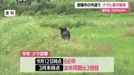 【クマ出没】走行中の車とクマ衝突・山へ逃げる　目撃件数2025年の3倍超（3月末時点）　山形・南陽市
