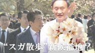 “官邸スガ散歩”に異変?菅首相の「飽き」で浮上した新候補地は“桜”で話題のあの公園