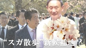 “官邸スガ散歩”に異変?菅首相の「飽き」で浮上した新候補地は“桜”で話題のあの公園
