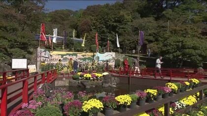 日本最大級の菊の祭典「二本松の菊人形」が開幕　2万株の菊の芸術が会場を彩る　